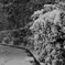 雪の平和の森公園９