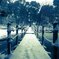 雪の平和の森公園１０