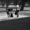 FLAGSTAFF GARDEN