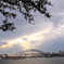 sydney