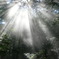 steam and sunlight
