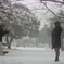 雪の日の写真撮影