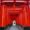 稲荷神社②