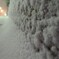 140208 【東京雪まつり】 吹きつけられて