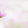 『arrange flowers♥️』