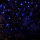 花壇の中の星空