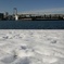 雪のお台場海浜公園