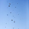 drop