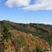 峠から