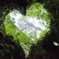 Valentine nature heart♡