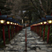 京都（冬）-2