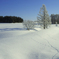 -20℃の朝
