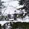 雪の法隆寺3
