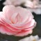 心に咲く花