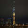 SKYTREE as Gold Medal