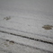 はじめての雪