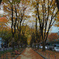 Autumn at lovely Sendai's Jozenji
