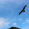大空へ