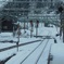 越後湯沢♪