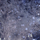 Snowy night