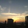 夕日。