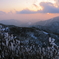 真冬の夕暮れ