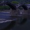 錦帯橋