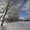 _DSC2364_004