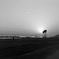 IMG_1400[1]