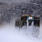 White World Train II