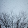 snow ...