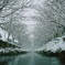 雪景色