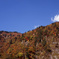 白山スーパー林道　Ｈ25.11.02　01