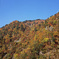白山スーパー林道　Ｈ25.11.02　03