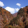 白山スーパー林道　Ｈ25.11.02　04
