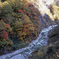 白山スーパー林道　Ｈ25.11.02　05