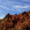 白山スーパー林道　Ｈ25.11.02　07