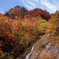 白山スーパー林道　Ｈ25.11.02　08