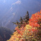 白山スーパー林道　Ｈ25.11.02　11