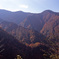 白山スーパー林道　Ｈ25.11.02　12