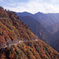 白山スーパー林道　Ｈ25.11.02　14