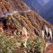 白山スーパー林道　Ｈ25.11.02　15
