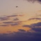_IGP7671 - バージョン 2 (1)