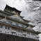 大坂冬の陣