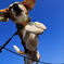 flying
