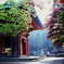 ２０１３．５延暦寺