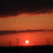 夕日