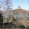 DSC00458
