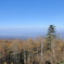 DSC00463