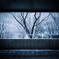 winter frame